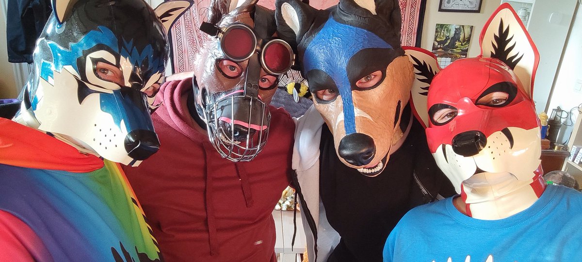 Dogs, wolves and foxes, united. Prepared for the Eurovision Song Contest. 😅