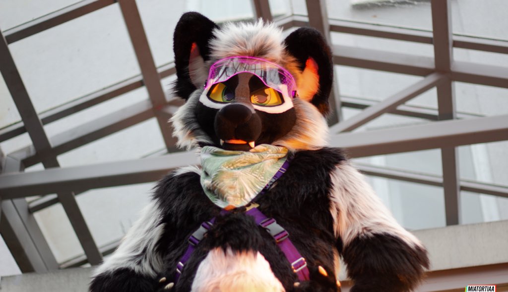 He do be judging you for liking paws~ 🐾especially his 😘
📸<a href="/miatortiaa/">miatortiaa</a>