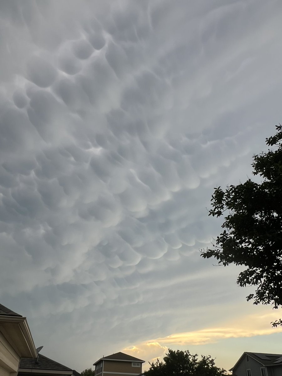 Liz Witcher tweet media