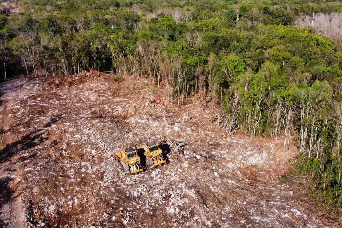 "ECOCIDIO SIN FRENO" | Activistas y expertos denuncian graves impactos del #TrenMaya en las comunidades mayas del sur del país. Integrantes de organizaciones indígenas, académicas y defensoras del medioambiente señalan que el megaproyecto no solo devasta ecosistemas, sino también