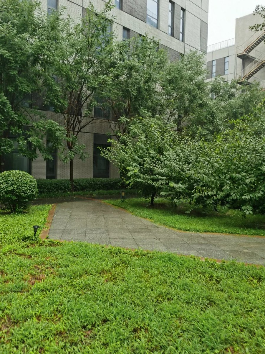 また雨の日。心の休日にして、世界をちょっと静かにしよう。🌧️