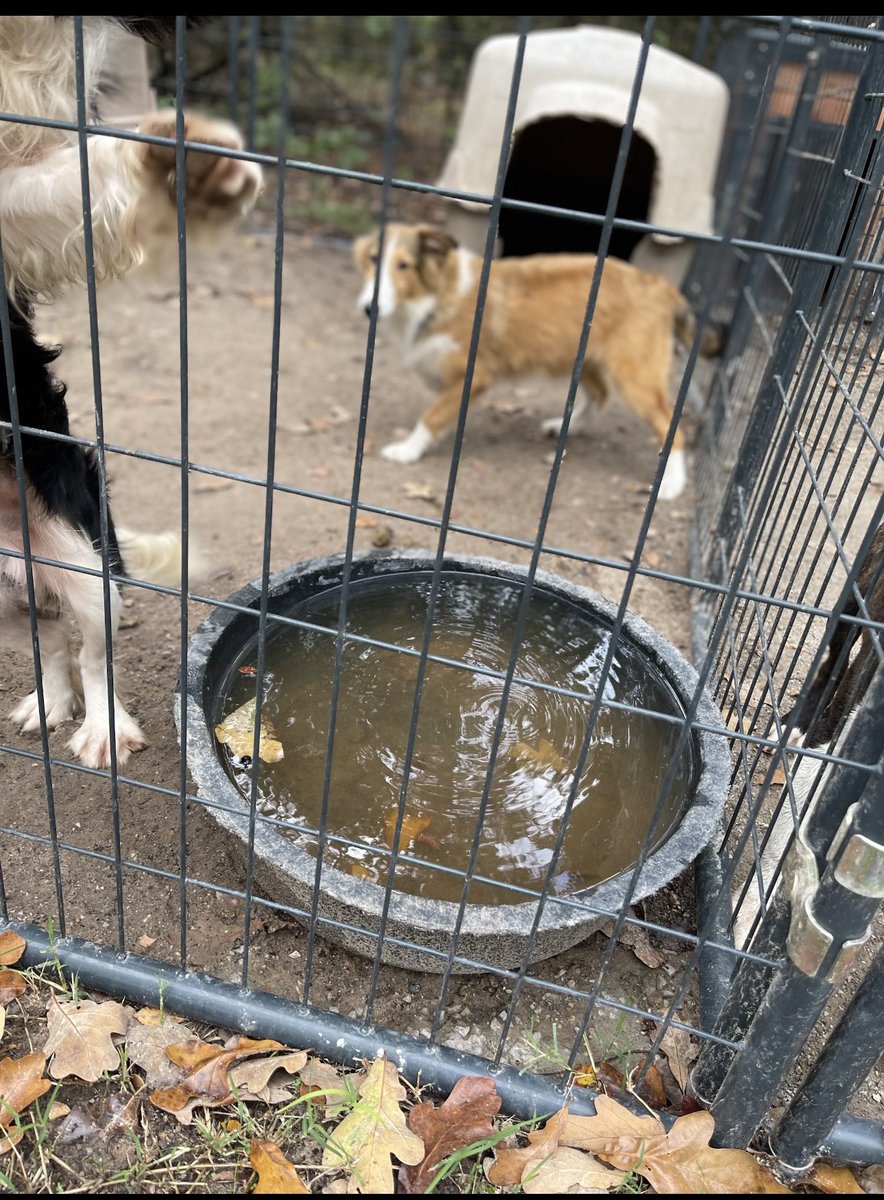 shawn rogers tweet media