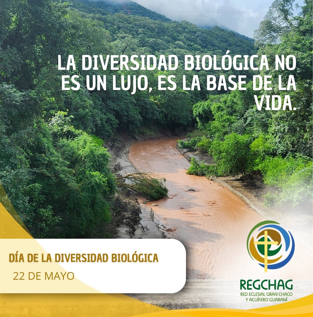 📍En la REGCHAG cuidamos la Casa Común desde el territorio: selvas, ríos, montes y sabanas que nos hablan del Creador y su generosa diversidad.