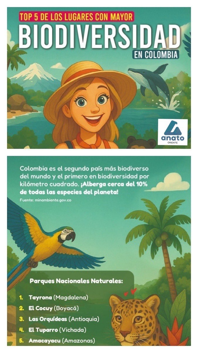 AnatoOriente's tweet photo. Día de la Biodiversidad
@AnatoNacional 
@AnatoOriente https://t.co/aBZQqmvUDx