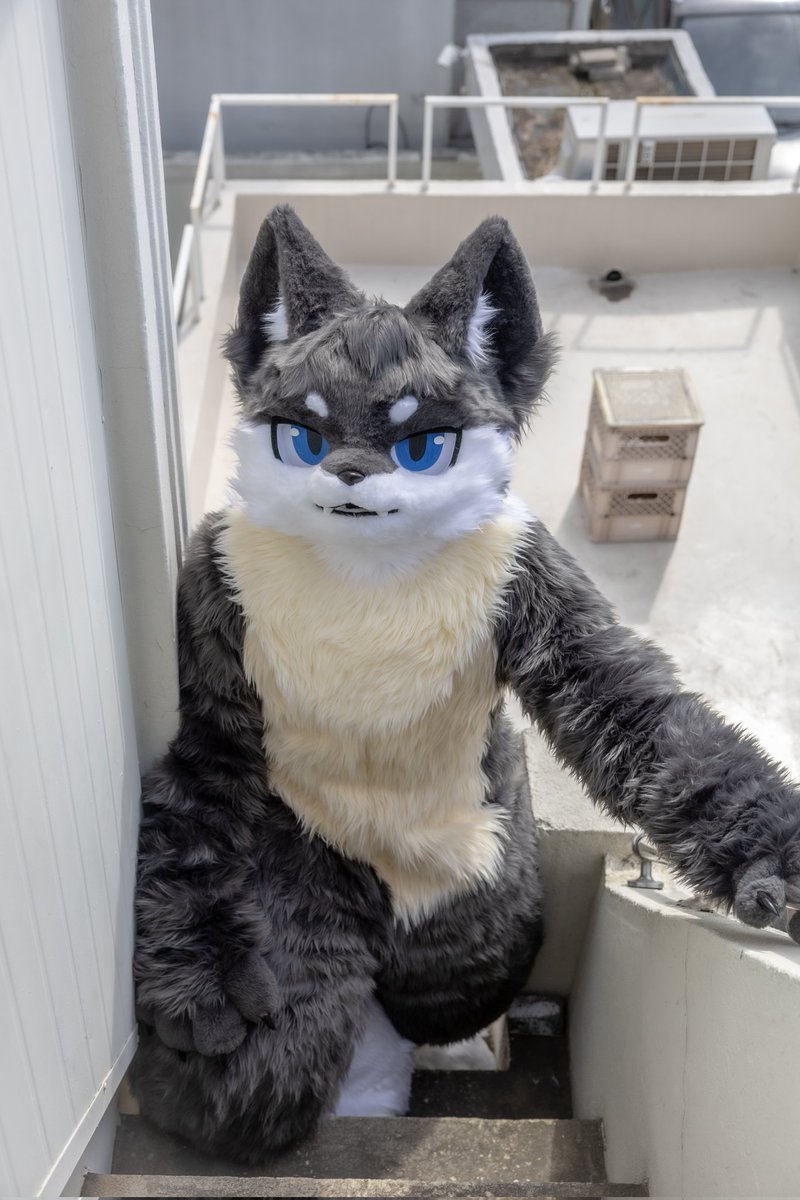 #FursuitFriday #fursuit 
#Glücks_Sieben

좀 기다려봐, 내가 계단은 힘들어서 그래!

Foto von <a href="/Kylier_K/">카일리어🔜퍼클</a>
