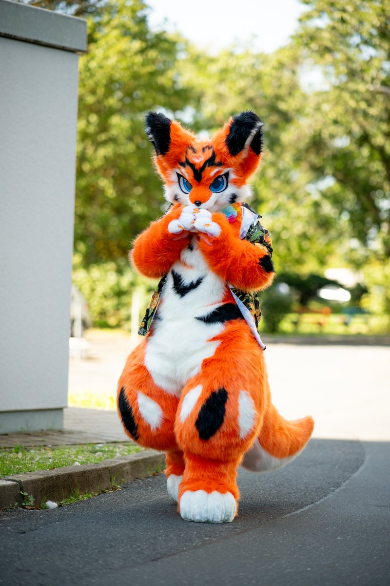 Ailurus, Ryuki & Juzi (@ailurusthepanda) on Twitter photo Just keep going forward – the weekend’s just around the corner! 🧡🦊
📷: <a href="/LennyaaFluff/">Lennyaa ➡️CFZ</a>
#FursuitFriday #Furry #Fursuit #Kemono #JuziMandarinFox Just keep going forward – the weekend’s just around the corner! 🧡🦊
📷: <a href="/LennyaaFluff/">Lennyaa ➡️CFZ</a>
#FursuitFriday #Furry #Fursuit #Kemono #JuziMandarinFox