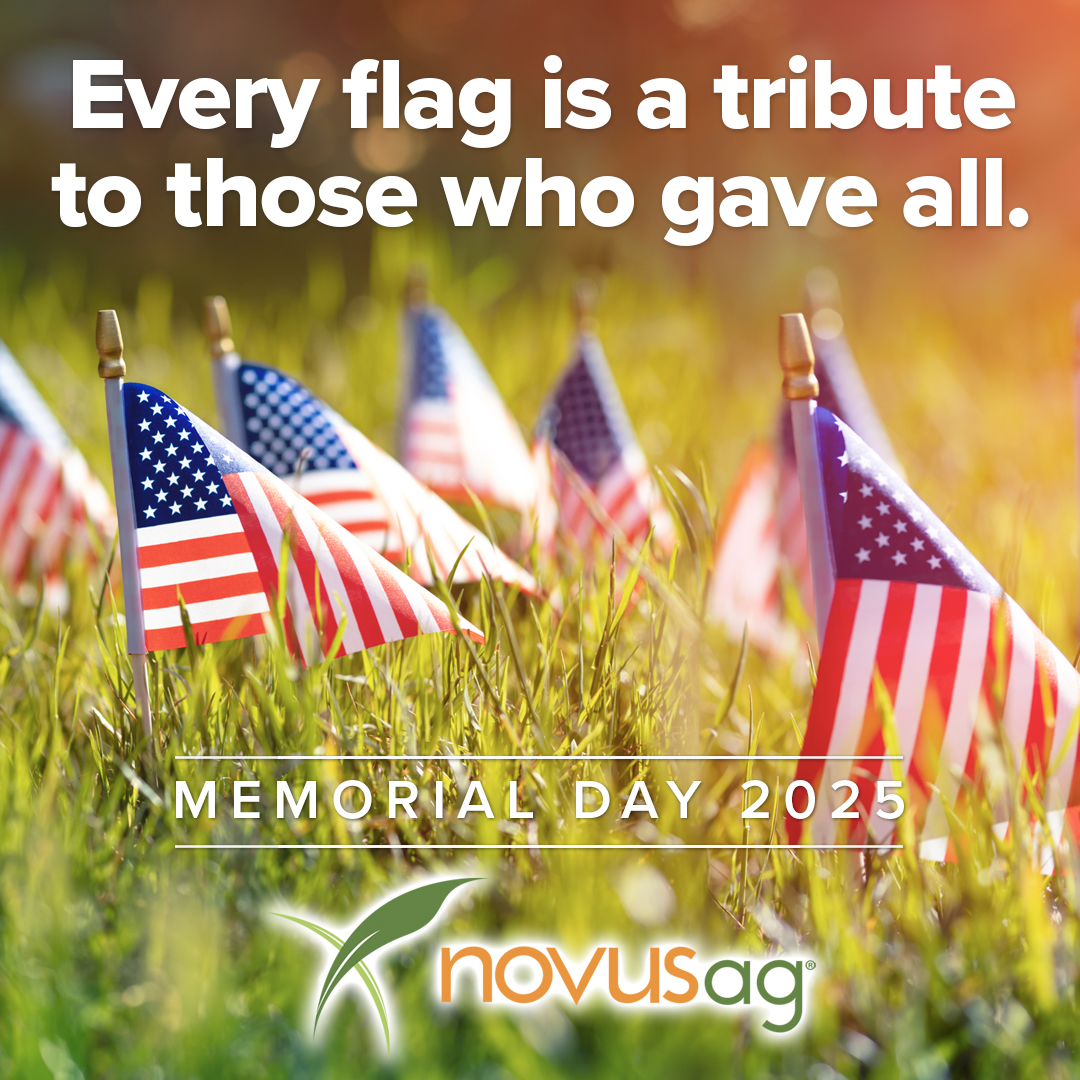 Their legacy lives on in every wave of the red, white, and blue. As we honor our veterans this weekend, the Novus Ag family wishes you a fun and safe Memorial Day!

#agriculture #novusag #america #freedom #MemorialDay2025