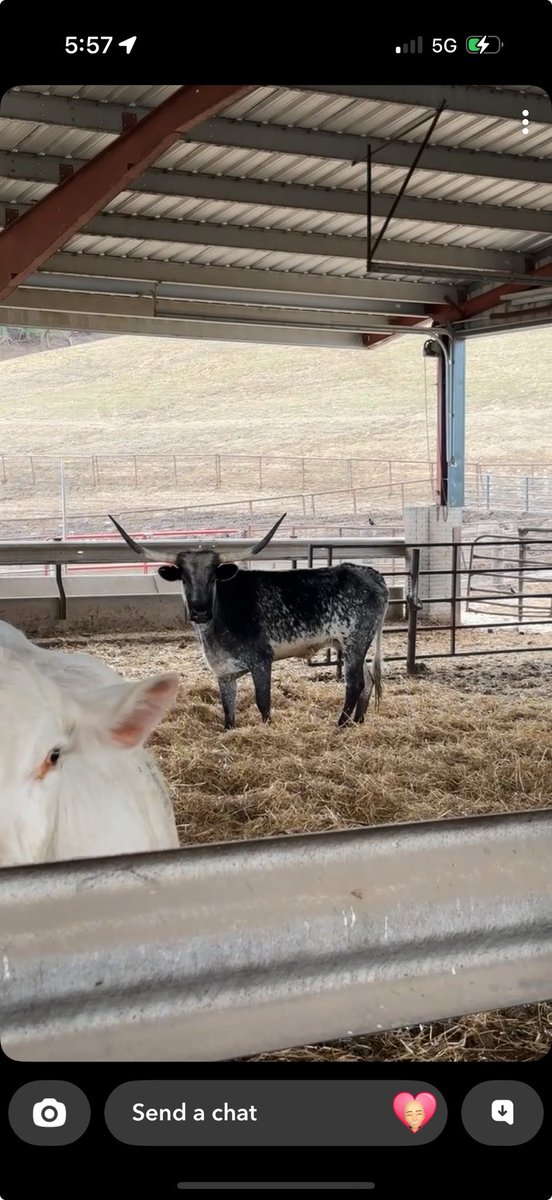 Kelly Garrett tweet media