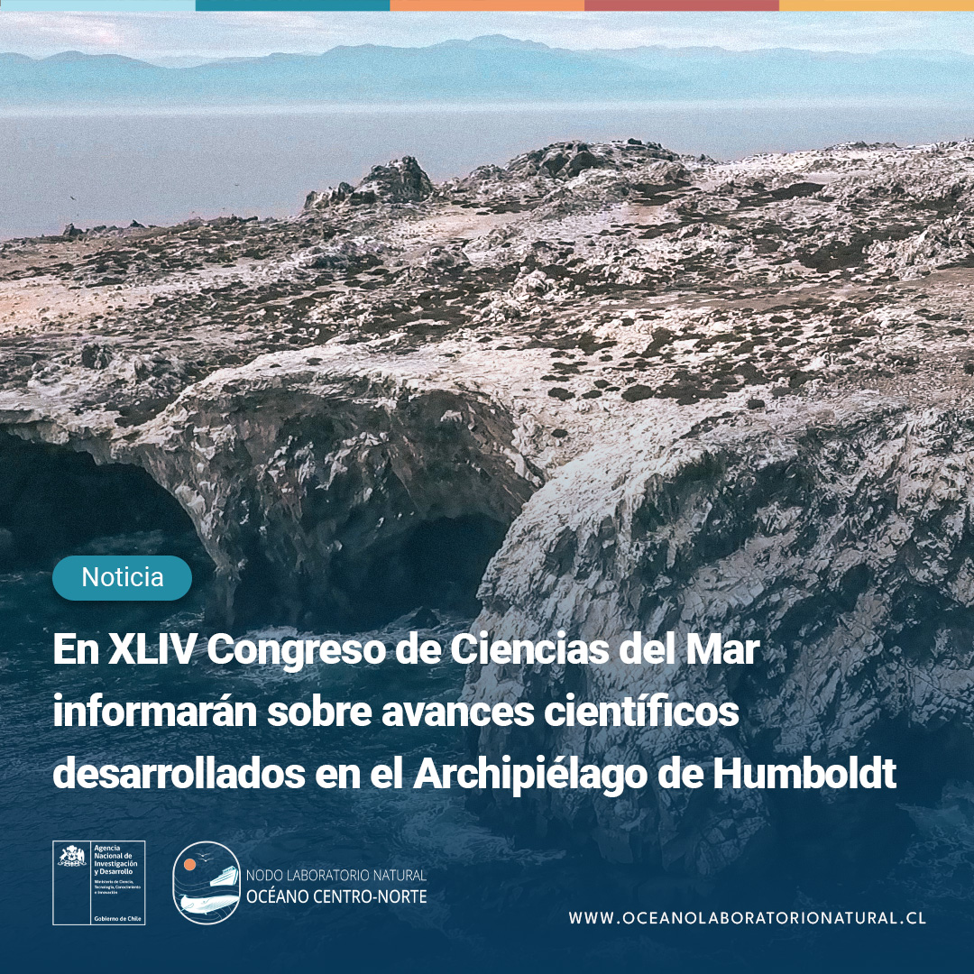 #Noticia📰|🔎Conoce más detalles de las ponencias con las que el <a href="/LabNatOceano/">LabNaturalOcéano</a> estará presente en el XLIV Congreso Ciencias del Mar 2025, este lunes 26 de mayo, desde las 13:00 a 17:00 hrs. en la Sala Plenario, Enjoy Viña del Mar🔬🌊👉La nota completa en📲bit.ly/4dAGHYI