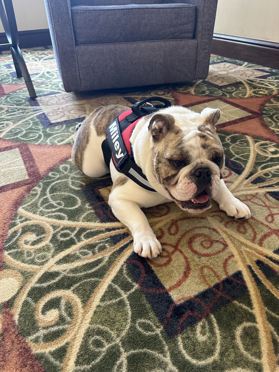 We are here!
Cathy won’t let me go and I won’t let her stop!
Bullybash2025 is starting early.