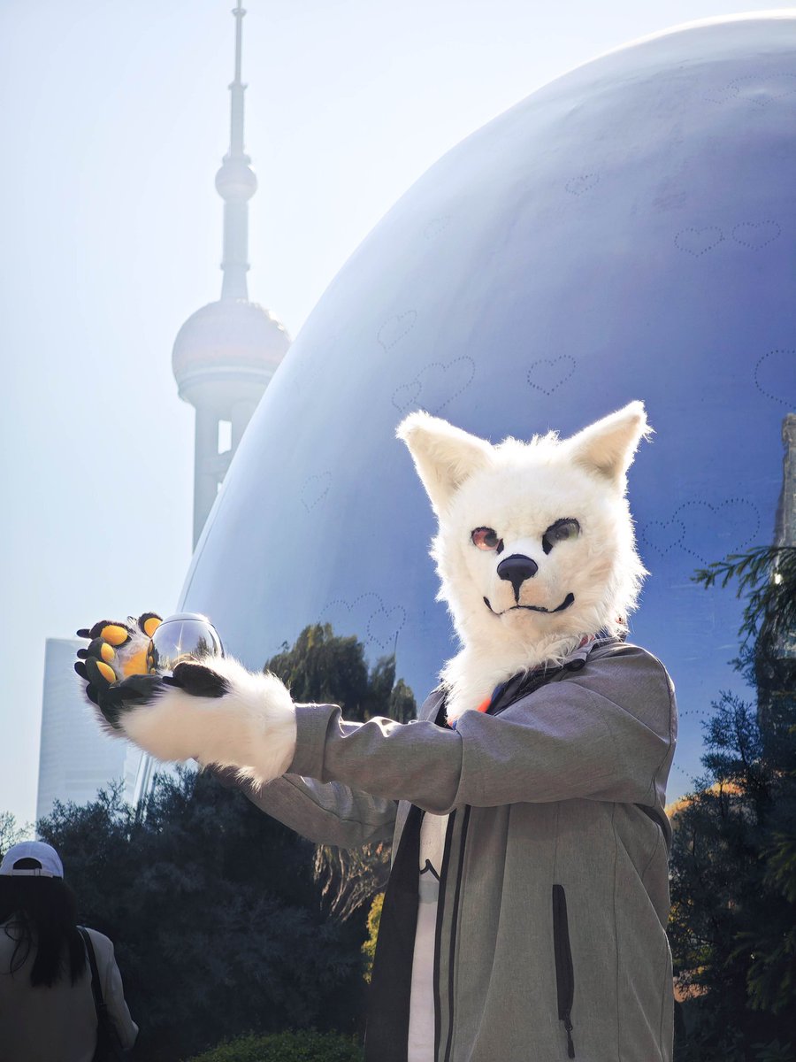 #FursuitFriday
📷 <a href="/Cookizi/">Cookizi</a> /🎨 TangMo