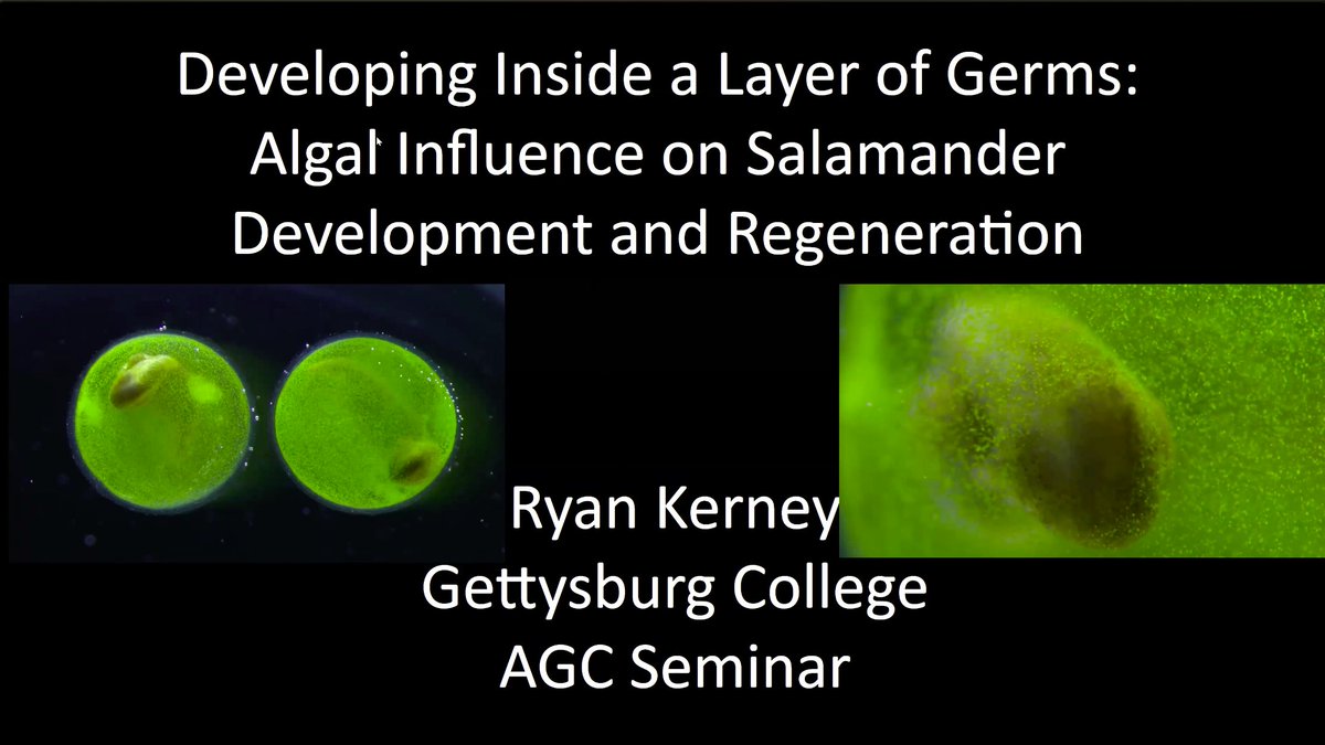TAKosch's tweet image. This week, the AGC hosted a fascinating seminar by Ryan Kerney from Gettysburg College.
👉You can watch Ryan's talk and the many others we have lined up for the year by joining the AGC at go.unimelb.edu.au/k2ss