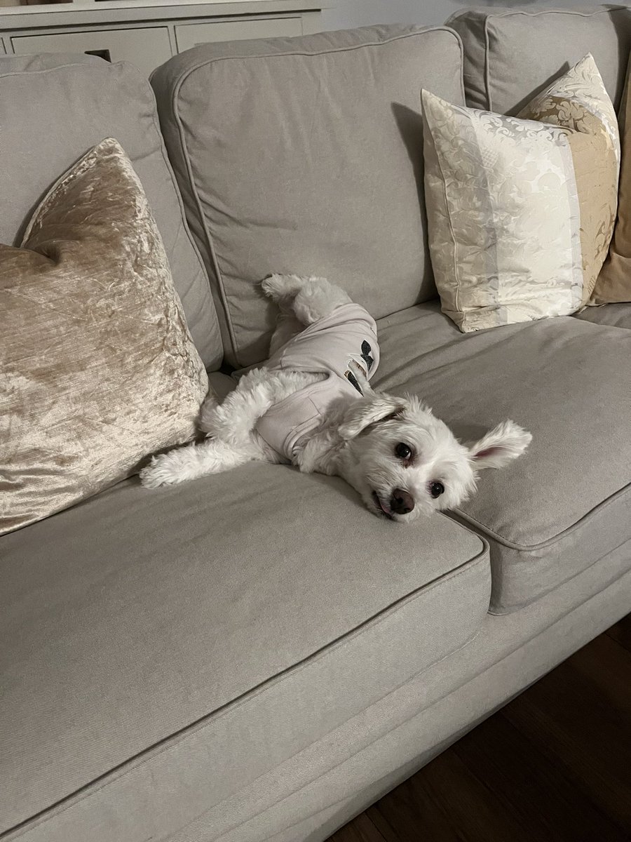 when I see my dear friend, I think how beautiful the world can be🥰