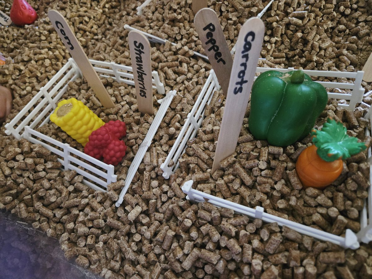 Holley DOrazio tweet media