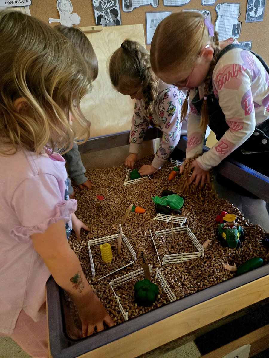 Holley DOrazio tweet media