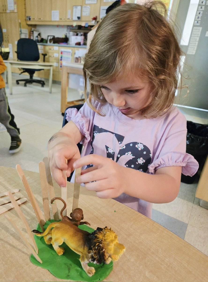 Holley DOrazio tweet media