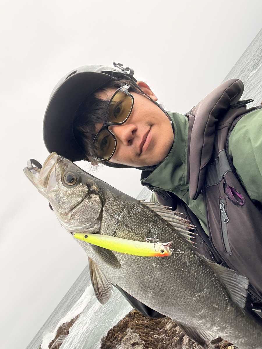 murachio's tweet image. 久しぶりの房総ヒラスズキ