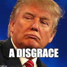 utalkntme's tweet photo. @GuntherEagleman #RapistPresident #ConvictedFelon #TrumpCon https://t.co/v9JA7soXjV