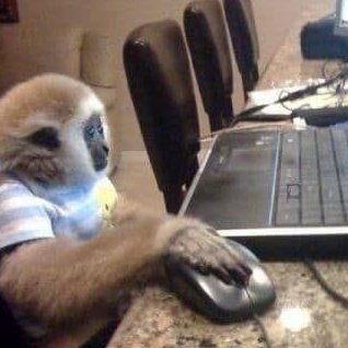 Ya estamos en vivooo, hoy mono charlita + jueguitos je

twitch.tv/Charlesg0_