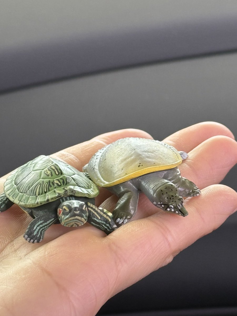 레오랑 도니 뽑았어요