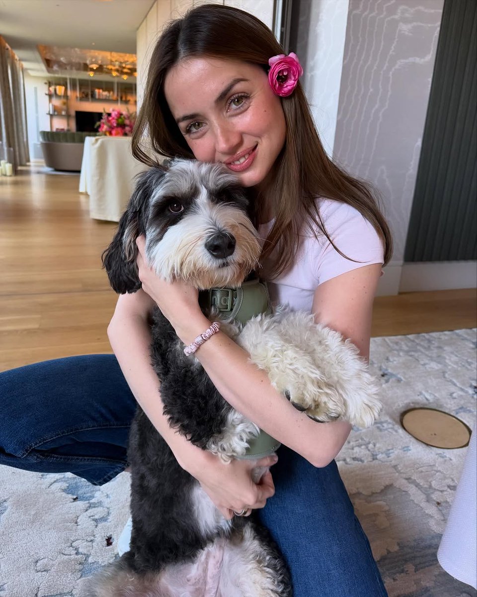Quisiera ser el perro de Ana de Armas.