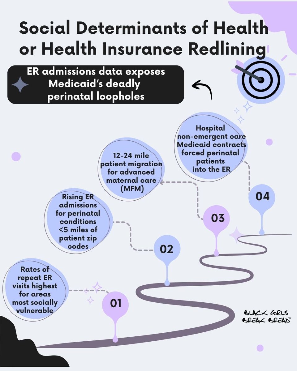 BLKGrlsBrkBread's tweet photo. When the data tells a different story than the industry’s favorite buzzwords you dig deeper. As a maternal health strategist, I am never satisfied with blaming SDOH for Black maternal and infant health crises. So I audited the numbers and found systemic redlining in plain sight. https://t.co/NaYLeSXh2V
