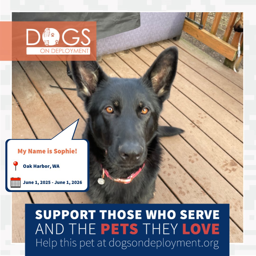 DogsonDeploymnt's tweet photo. These dogs need boarders by the first week of June!
Sophie & Ray: https://t.co/Rg6MDRHoMC
Yogi Bear: https://t.co/XnwZeKmHlV
Thor: https://t.co/zYshn0e7RA
Isys & Mocha: https://t.co/Ef7yXQX8fh
(Must be registered & logged on to view all info)
#DogsonDeployment #DoDFoster https://t.co/fOAZXgmbHk