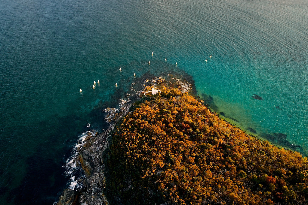 Kess Gallery tweet media