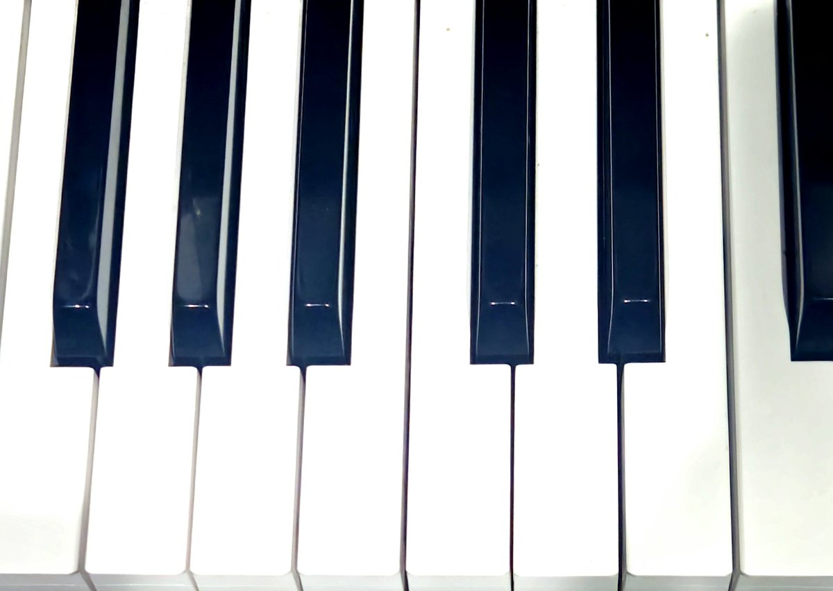 ebx_jen's tweet photo. ✨LIVE NOW✨
🎹Tracking keys on Mayhem 🎹
https://t.co/gMGDWd6d4k https://t.co/7dwQsQPnBh