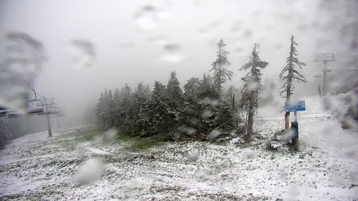 growingwisdom's tweet photo. Snowing @KillingtonMtn https://t.co/7v4AvZExjj