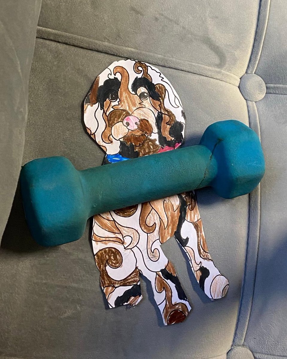 Lianna Dauberman tweet media