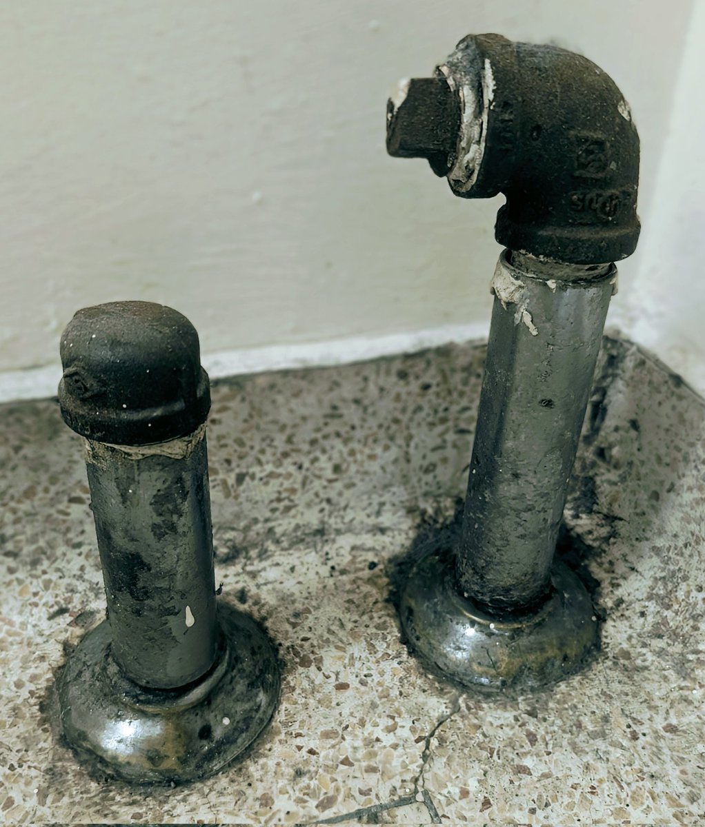 skunkpaste's tweet image. sadly, i don't think that many of you will be able to believe this.

but you absolutely should