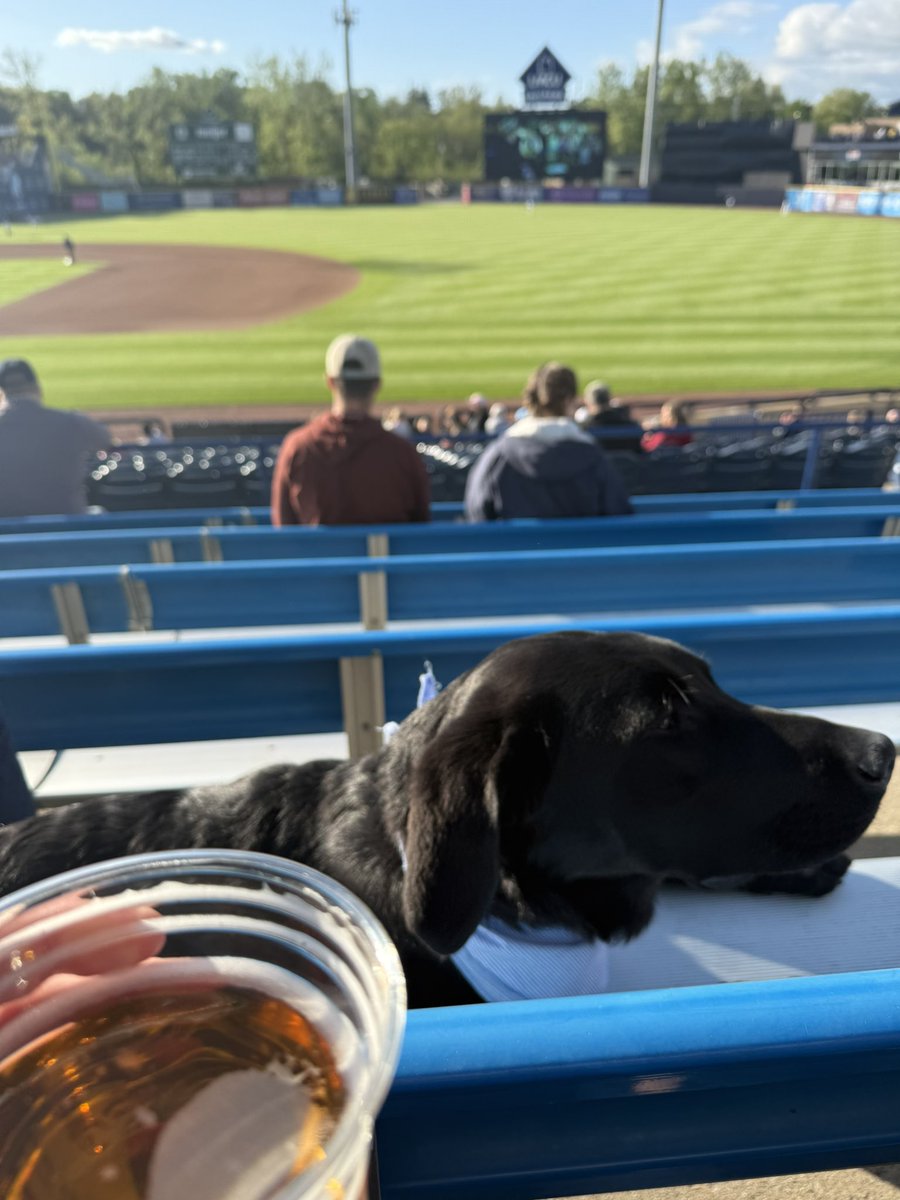 julius_campbe11's tweet photo. Pup night at the first thirsty Thursday of the year. Max Clark please go yard 🙏 #singleaball https://t.co/FRfmg9vWEy