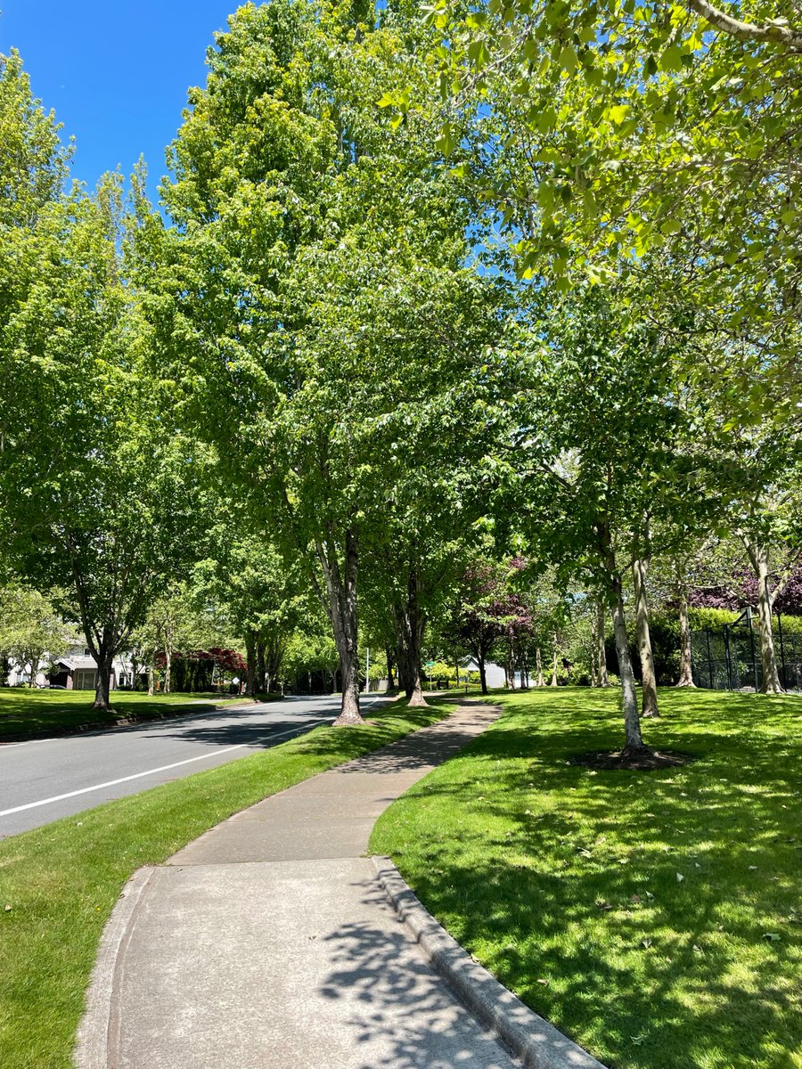 We are having an incredible Spring in the Puget Sound region, if one compares this to the last few years. We've had rain, but it comes and goes instead of sticking around......

5-mile stroll to take in the sun. Does wonders to the mind leaving the office.
