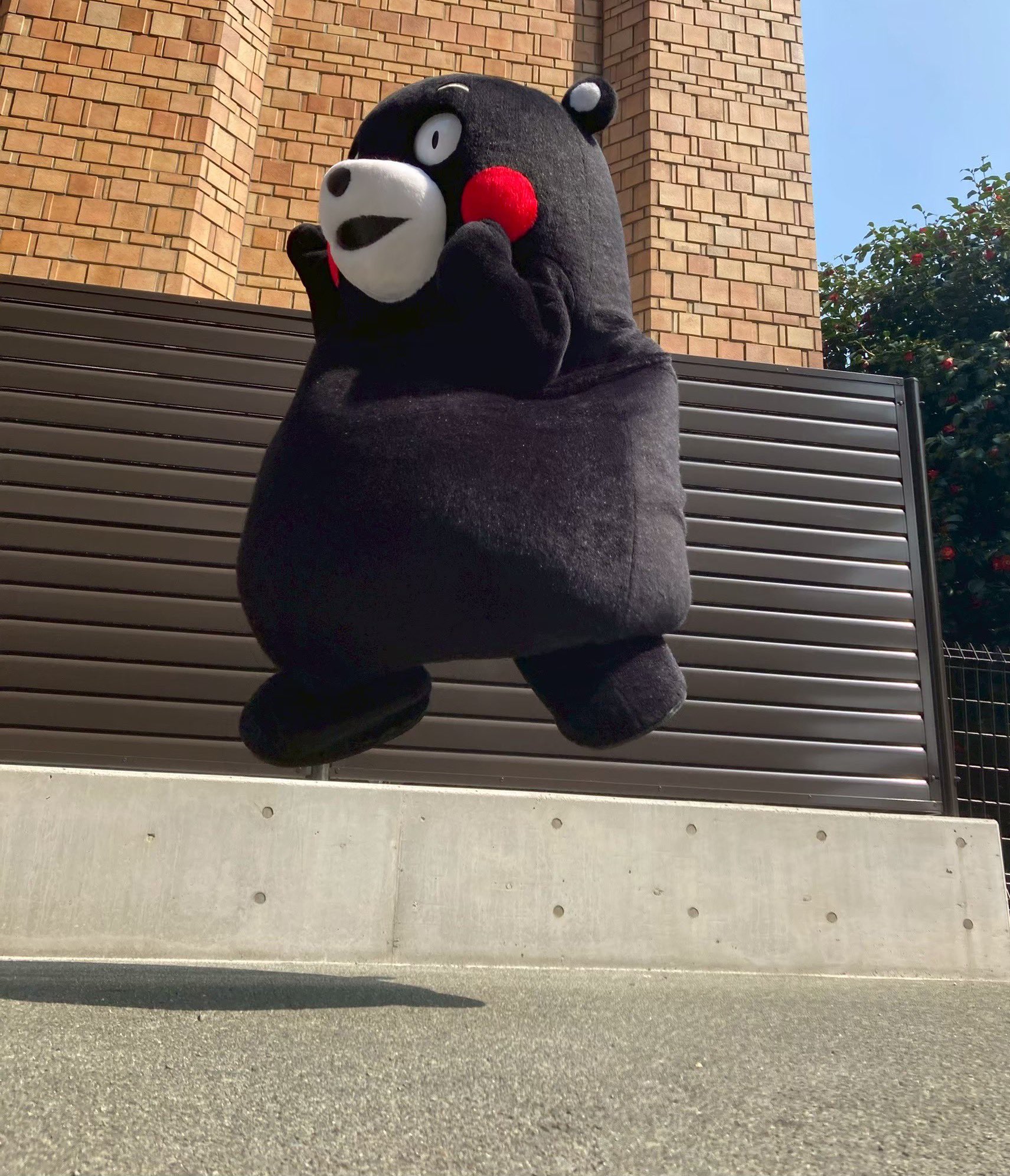 ☘️ 専用★のんびりくまさん様　☘️☘️ ※画像1 〜4 創価学会 お願いくまさん! ミニサイズ 15cm｜創価学会仏壇・SGI