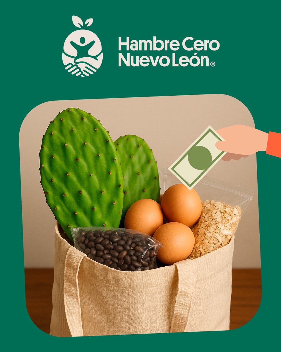 ¿Comer sano es costoso?
¡FALSO! 💥
El nopal, frijol, avena y huevo son muy nutritivos y de precio accesible.
¡Comienza tu transformación alimenticia HOY! 🍽️