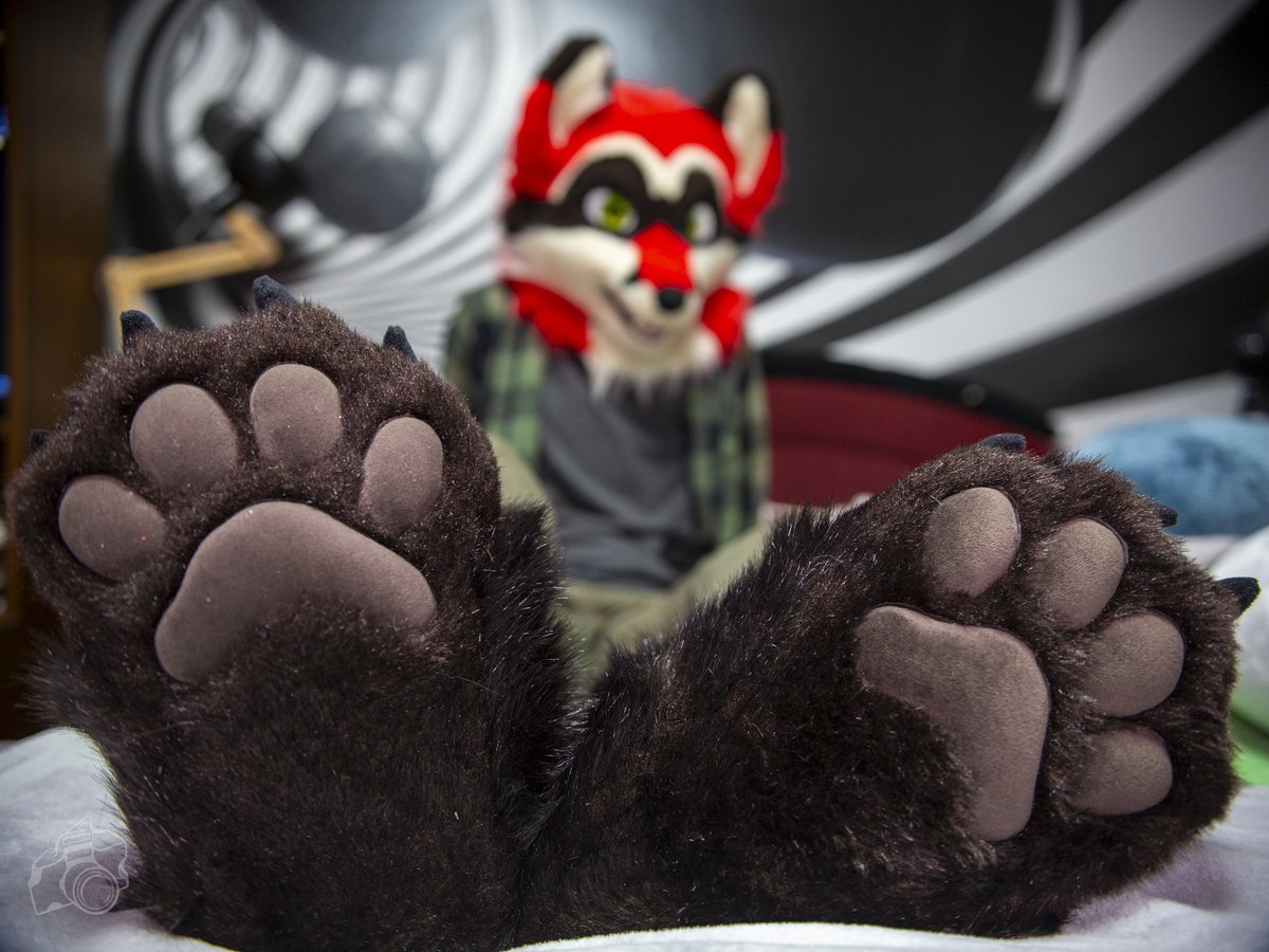 Did someone say beans? 👀

#FursuitFriday 
📷<a href="/akkiefloofie/">Akkie ₍ₑₘᵣₑₑ₎</a>