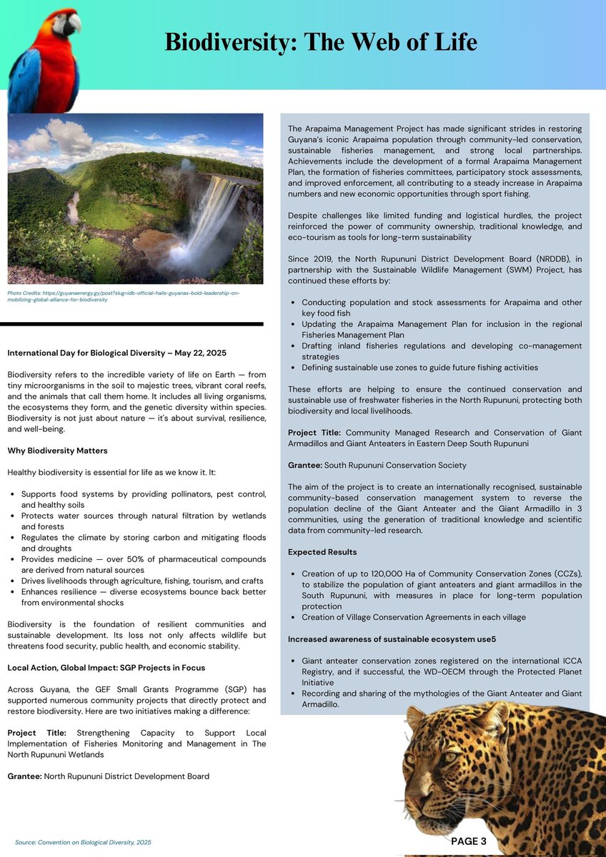 sgpguyana's tweet photo. Our first SGP Guyana Newsletter is here! This edition highlights our work in capacity building across communities + a special feature on our celebration of the International Day for Biological Diversity. 
#SGPGuyana #BiodiversityDay #CapacityBuilding 
 @UNDPGuyana @UNGuyana https://t.co/XaQ5yvo1ZL
