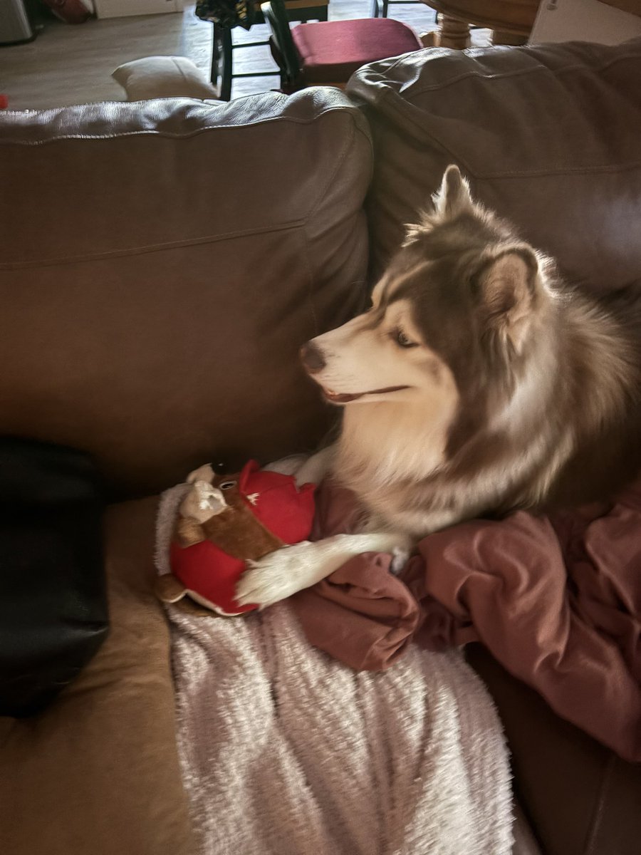 Cole Simpson (@jcolesimpson) on Twitter photo What does it mean if my dogs favorite toy is <a href="/bucees/">Buc-ee's Beaver</a> the beaver?
Am I a real entrepreneur <a href="/mhp_guy/">Chris Koerner</a> What does it mean if my dogs favorite toy is <a href="/bucees/">Buc-ee's Beaver</a> the beaver?
Am I a real entrepreneur <a href="/mhp_guy/">Chris Koerner</a>