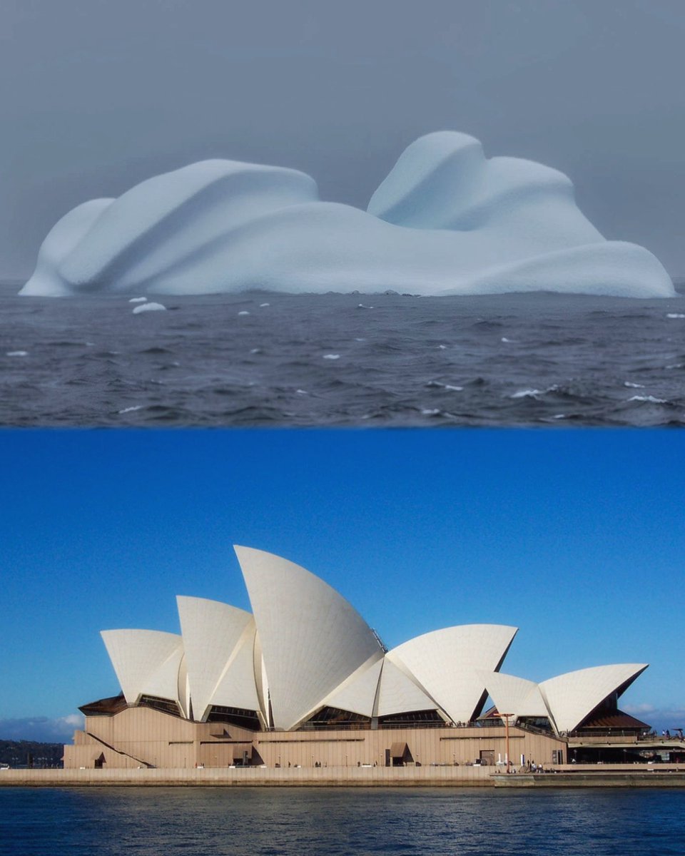 Had to make the comparison…