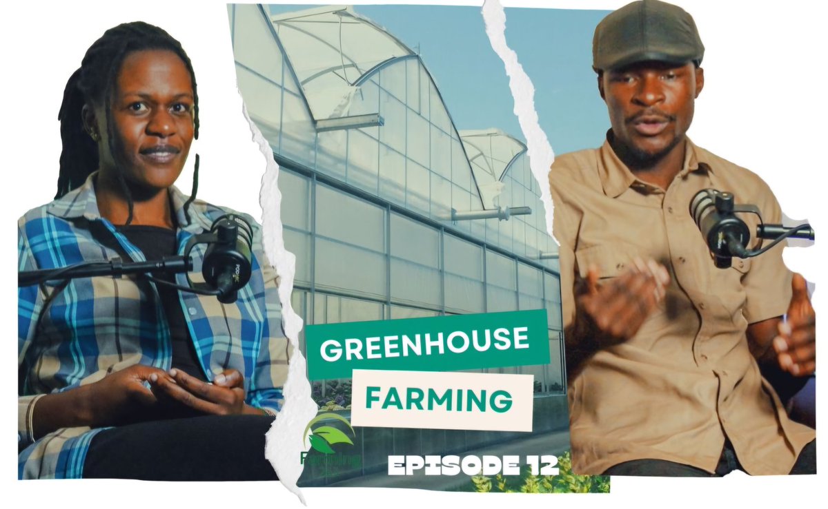 Farming_263 tweet media