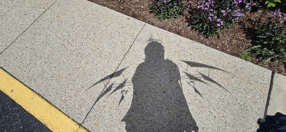 LunatiqueRose's tweet image. Welcome to Sanctilaminium Ambrosii.

🥰 I rented a cathedral to shoot Hortus de Escapismo today 😇 

#Arknights #hortusdeescapismo #cosplay #コスプレ #executortheexfoedere #聖約イグゼキュター #明日方舟 #送葬人 #聖約送葬人