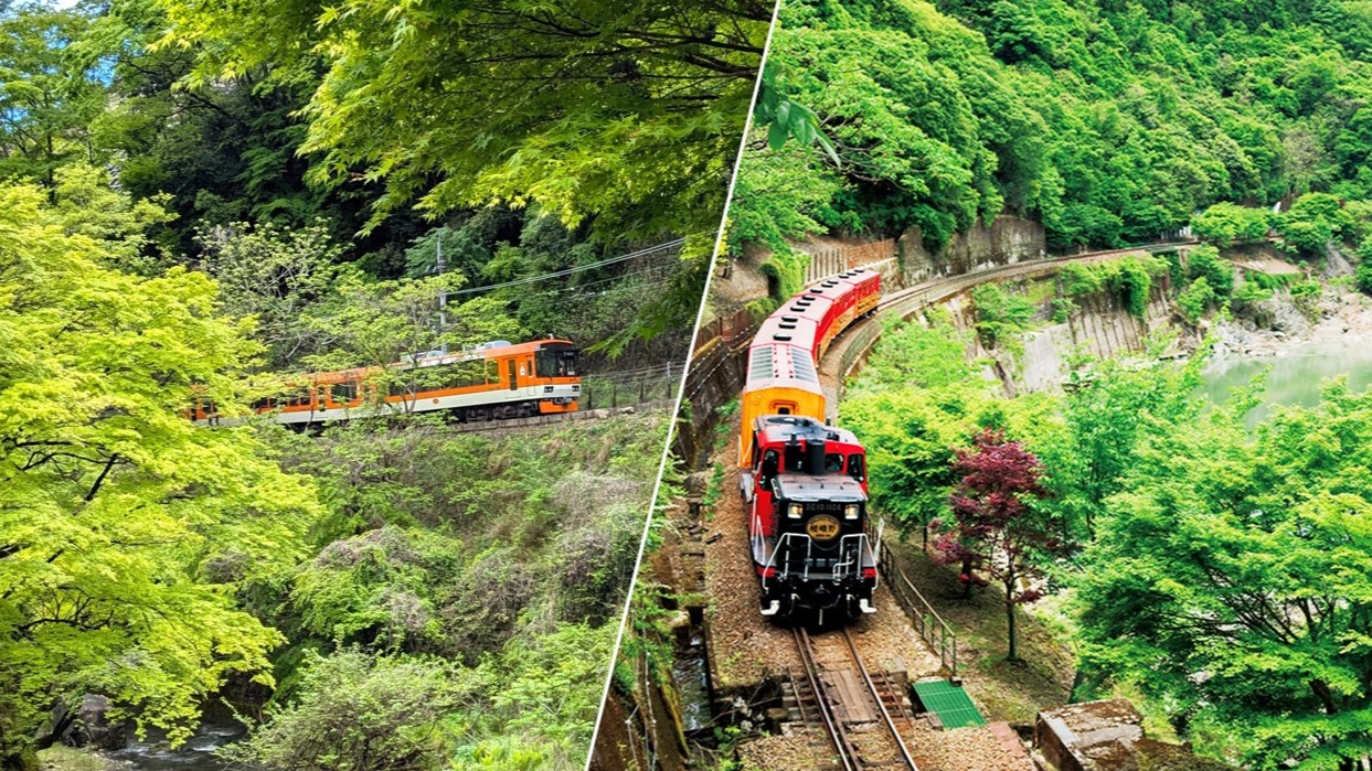 667＊秋空と電車723色葉散る雲場池 667＊秋空と電車723色葉散る雲場池 （軽井沢・雲場池の紅葉と
