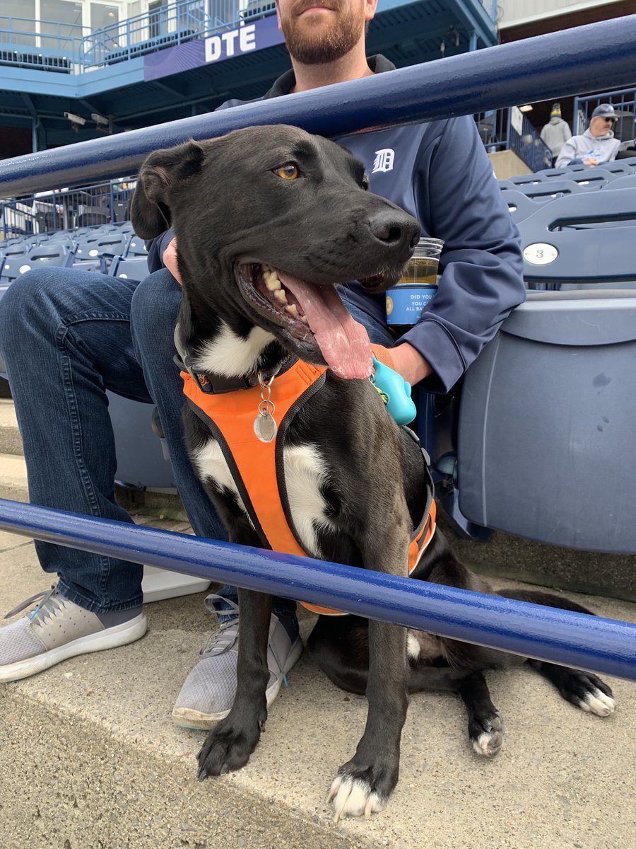 MissEricaCC's tweet photo. Titan’s first @wmwhitecaps game #catchthewave https://t.co/woapgKpALo