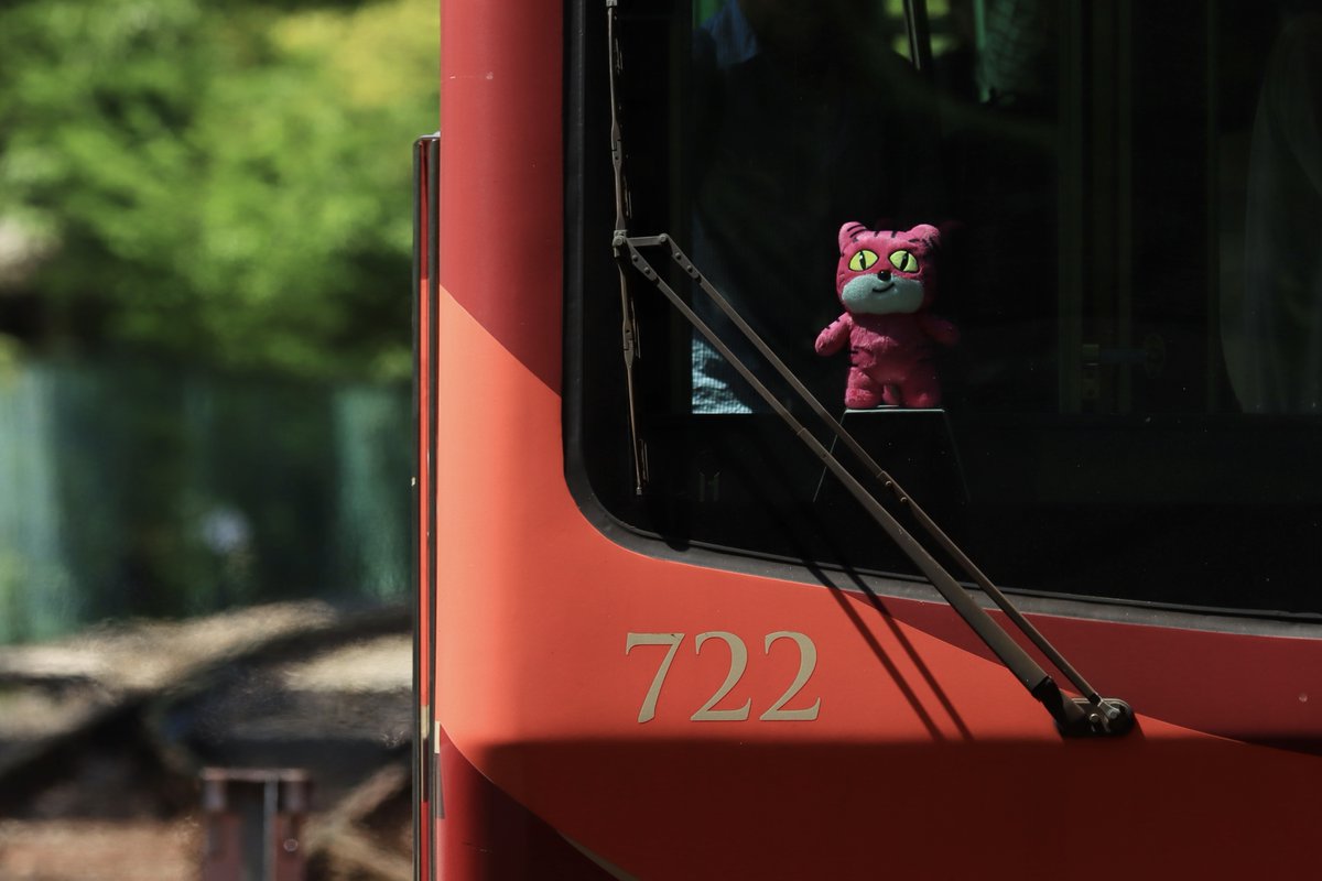 「#たべっ子どうぶつTHEMOVIE」コラボ企画のキャラクター紹介♪

第3回
今日は、722号車に乗っている「ねこちゃん」です。
楽しそうな笑顔で乗ってますね♪
見つけたら、ぜひ写真を撮ってSNSでシェアしてね。
#叡山電車 #映画たべっ子どうぶつ