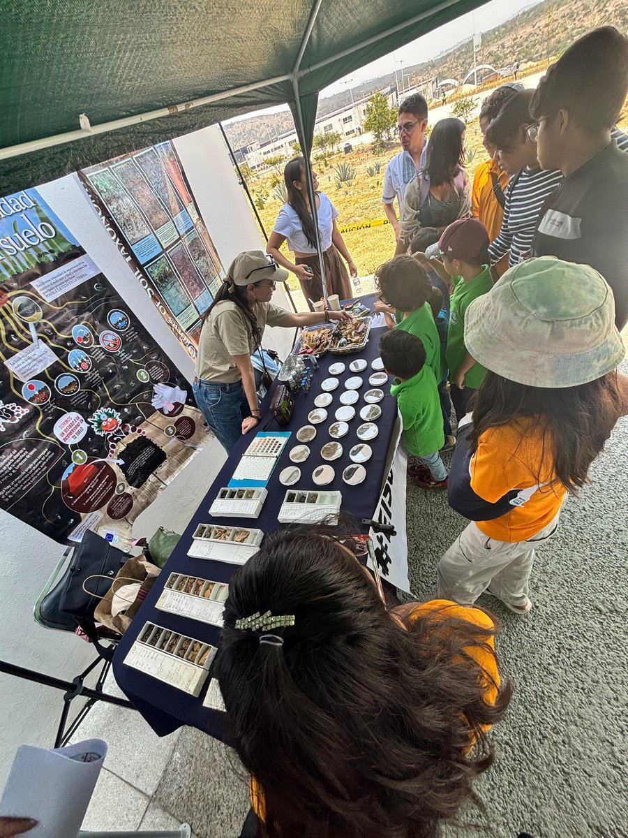 EcocampusBUAP's tweet photo. 🌳🍃🍄Con mucha diversión y aprendizaje conmemoramos el Día Internacional de la Diversidad Biológica🍄🍃🌳

👏🏻👏🏻Muchas gracias a tod@s los colaboradores.

#BiodiversityDay
#EducaciónAmbientalBUAP 
#AcciónClimáticaBUAP
#SEGEMABUAP
#CU2
#DivulgaciónBUAP 
#InvestigaciónBUAP https://t.co/M9kCF4zIfq