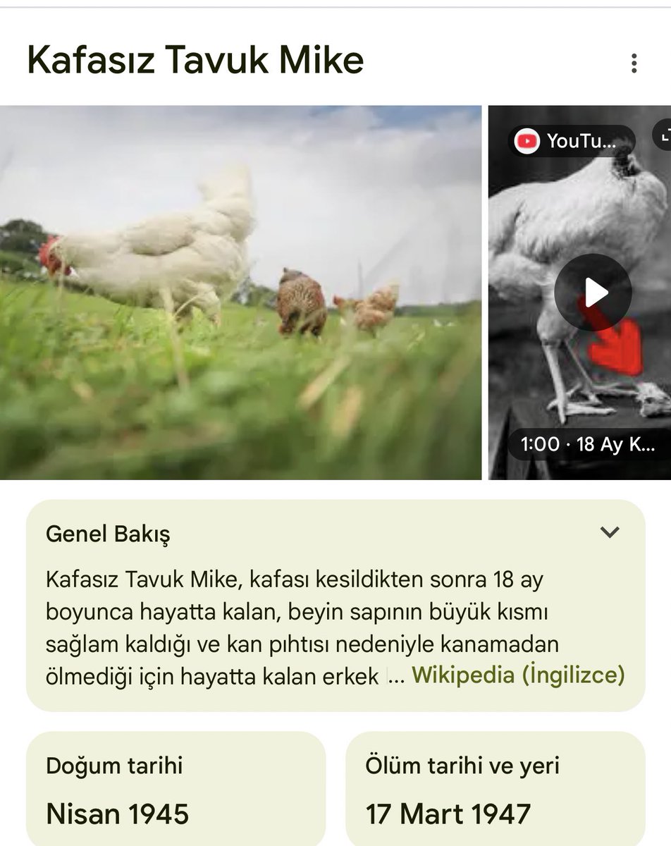 Kafamdaki sesleri susturamazsam benim bana yapacağım o muamele;