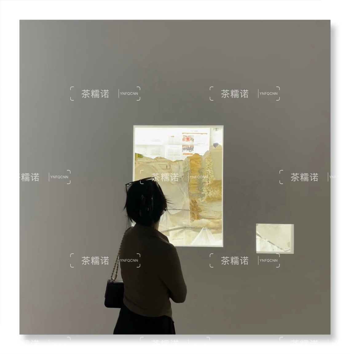 看展