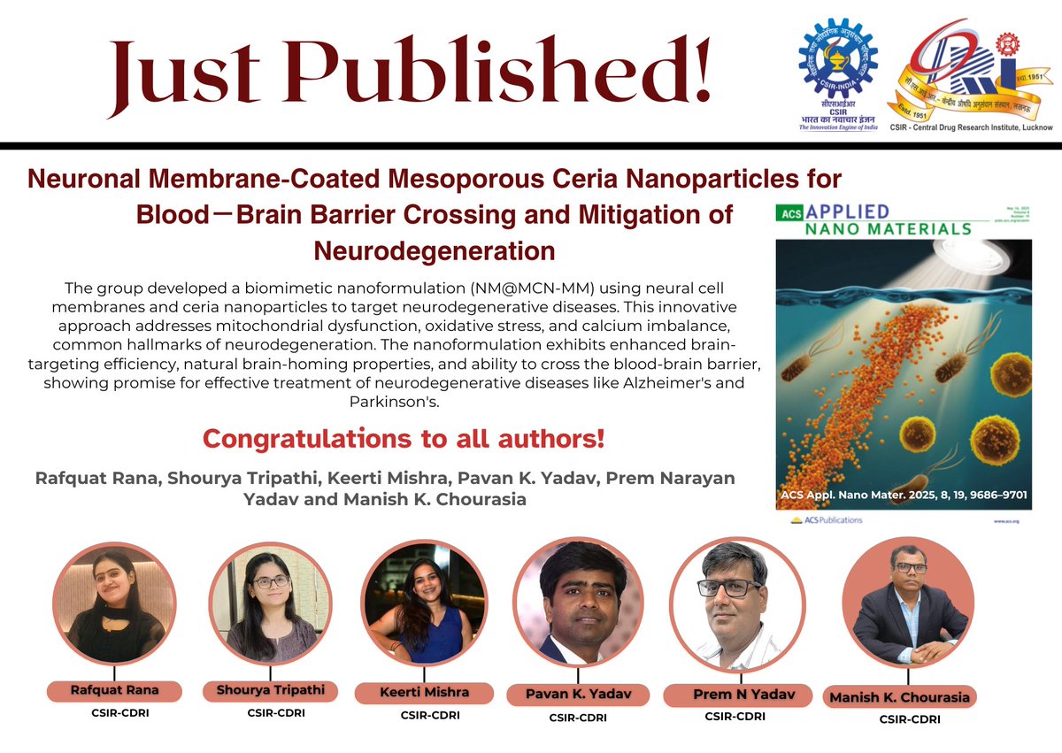 CDRI-Academy and Research (@cdriacademy) on Twitter photo A new study from Manish K. Chourasia’s group <a href="/CSIR_CDRI/">CSIR-CDRI</a> (Lead author: Rafquat Rana) introduces a smart nanoformulation that uses brain cell membranes and tiny ceria particles to fight Alzheimer’s and Parkinson’s.
Read: pubs.acs.org/doi/10.1021/ac….
<a href="/CSIR_IND/">CSIR, India</a> <a href="/ACSPublications/">ACS Publications</a> A new study from Manish K. Chourasia’s group <a href="/CSIR_CDRI/">CSIR-CDRI</a> (Lead author: Rafquat Rana) introduces a smart nanoformulation that uses brain cell membranes and tiny ceria particles to fight Alzheimer’s and Parkinson’s.
Read: pubs.acs.org/doi/10.1021/ac….
<a href="/CSIR_IND/">CSIR, India</a> <a href="/ACSPublications/">ACS Publications</a>