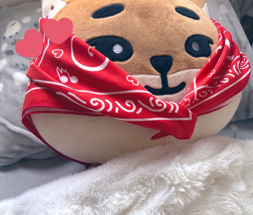 Thanks to <a href="/hahapp__y/">DAYFORME_</a> 
데마르의 그림이 그려져 있는 예쁜 반다나를 받았습니다! 넘넘 귀여웡ㅠㅠ🩷🩷🩷